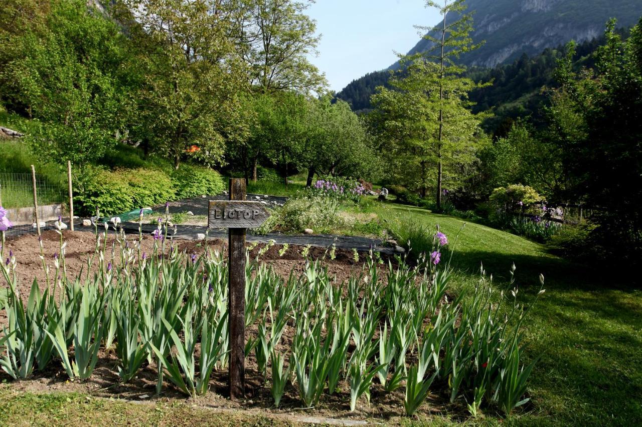 Al Trovante - Gardaslowemotion Apart otel Tenno Dış mekan fotoğraf